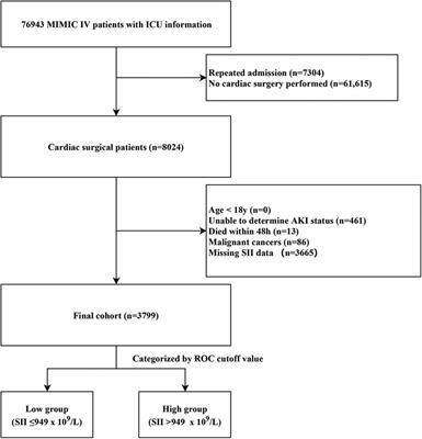 Elevated postoperative systemic immune-inflammation index associates with acute kidney injury after cardiac surgery: a large-scale cohort study